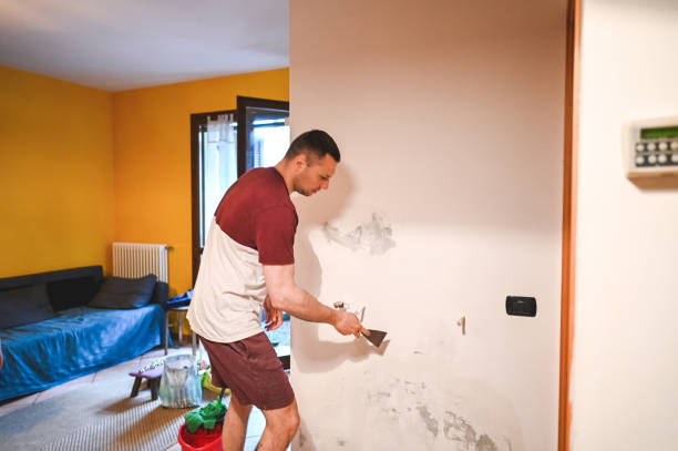 Best Mold Remediation Services  in Eveleth, MN